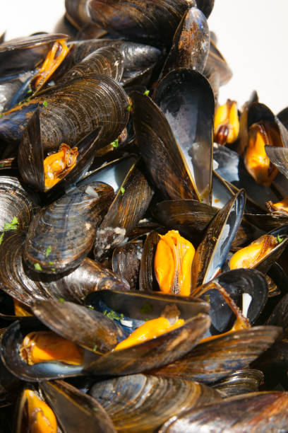 istock cooked mussels in a white bowl 948510492