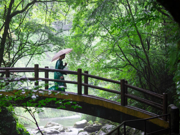 Side view of white man, tourists, with an umbrella walking on the bridge in Takachiho Gorge, which is a narrow gorge made trough volcanic rock by the Gokase River. It has impressive 17 m waterfall, Minainotaki. According to Japan legends, grandchild of Sun Goddess Amaterasu descended in canyon from Heaven.