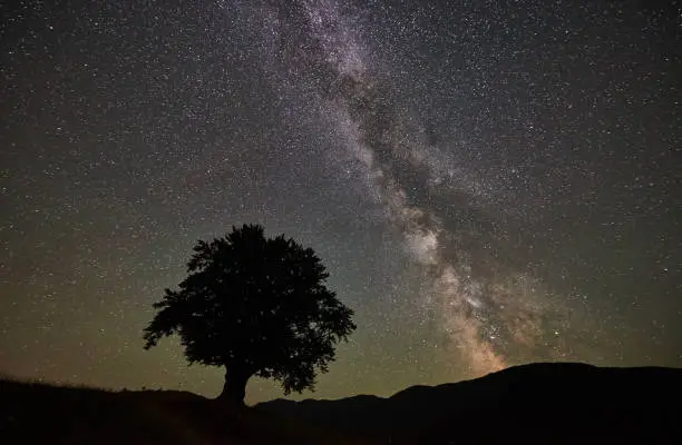 Photo of Lonely high tree under starry night sky and Milky way