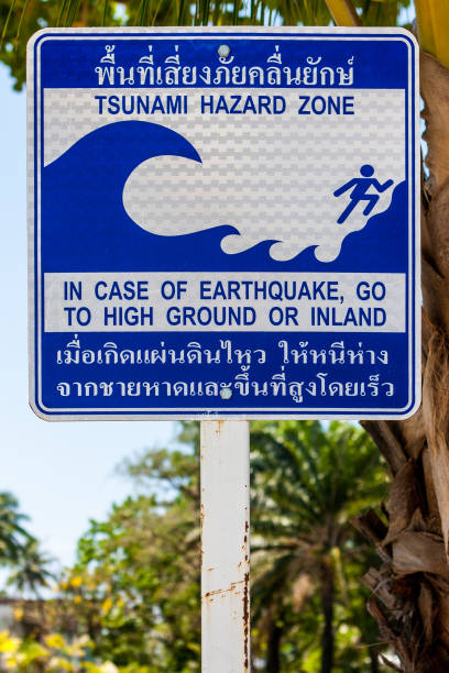 istock Sign indicating the evacuation route in case of a tsunami. Phi Phi Island, Thailand. 948520036