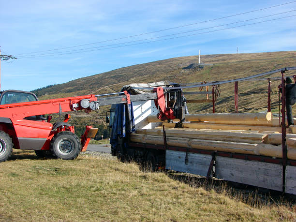 gabelstapler entladen protokolle - lumber industry timber truck forklift stock-fotos und bilder