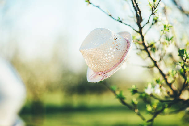 Cherry tree blossom and baby hat