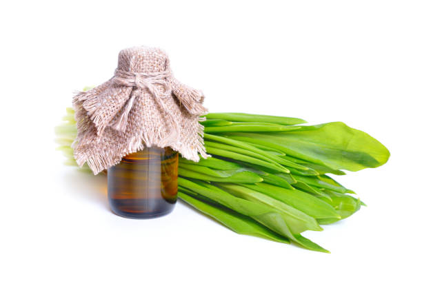 allium ursinum - noto come ramsons - herbal medicine nature ramson garlic foto e immagini stock