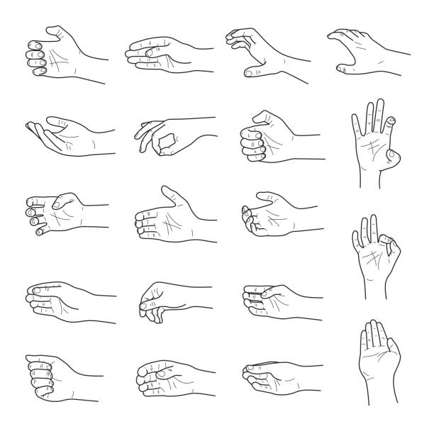 손 제스처 컨투어 스케치 ector 세트 - sketching drawing human hand horizontal stock illustrations