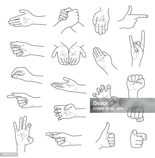 Hand Gestures Contour Sketch Ector Set Stock Illustration - Download Image Now - Hand, Drawing - Activity, Palm of Hand