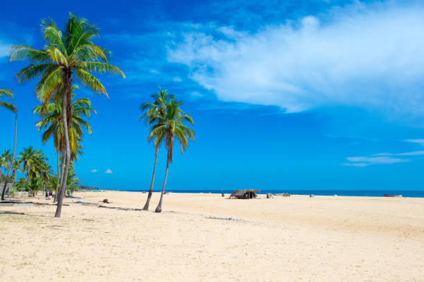 istock Beach and beautiful tropical sea. 948543504