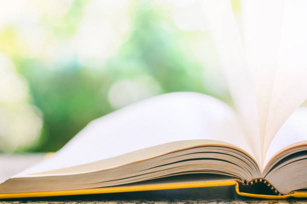 Opened book with wind blown paper page against blurred natural green background