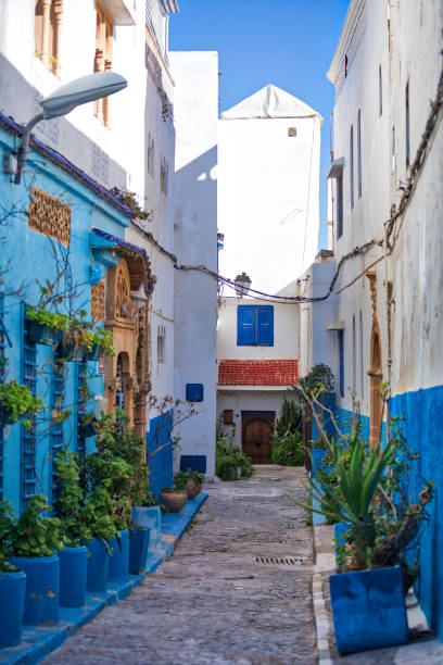 The narrow streets and the white and blue painted buildings of the Kasbah of the Udayas in Rabat, Morocco