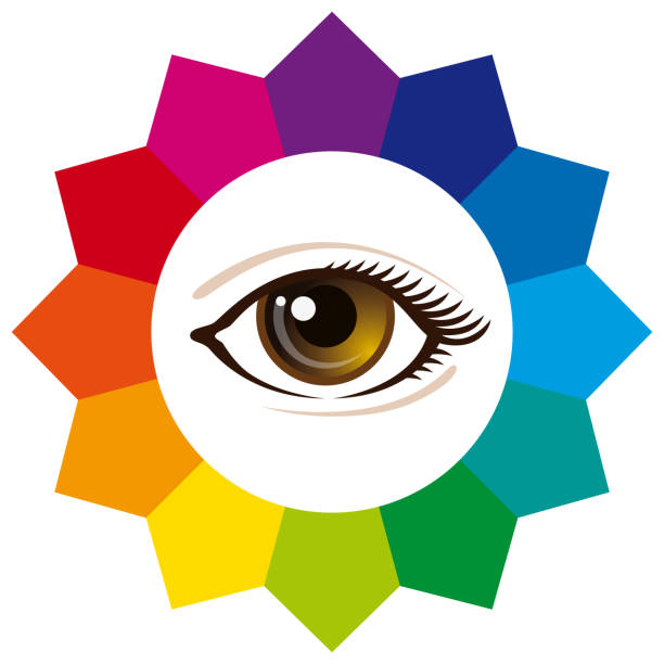 ilustraciones, imágenes clip art, dibujos animados e iconos de stock de rueda de color de espectro con ojo humano - swatch spectrum multi colored document