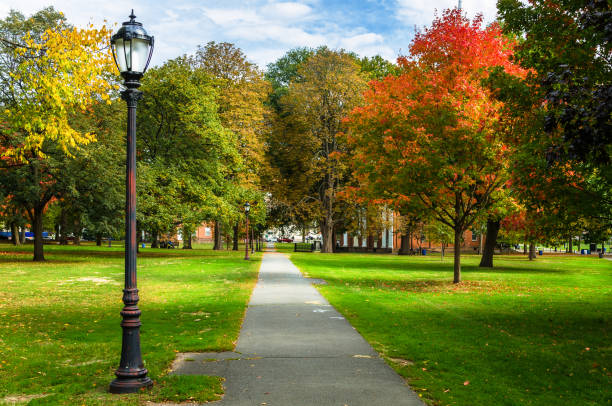 istock Public Park with a Deserted Path in Autumn 948564166