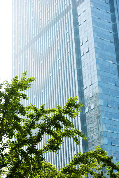 istock Modern office building and green leaves 948567174