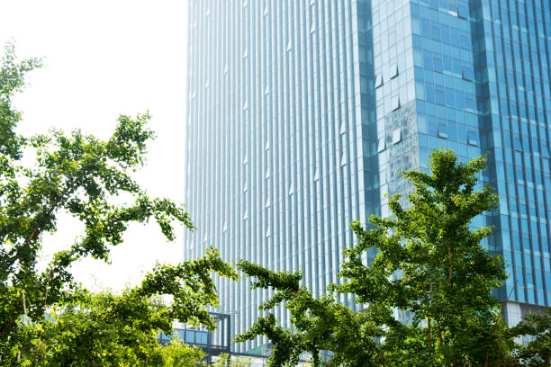 istock Modern office building and green leaves 948567448