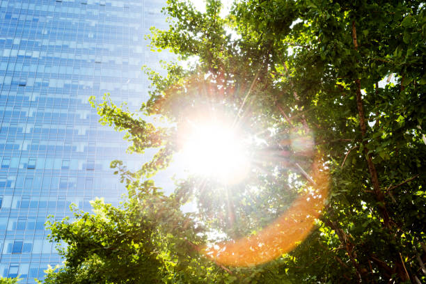istock Modern office building and green leaves 948568088
