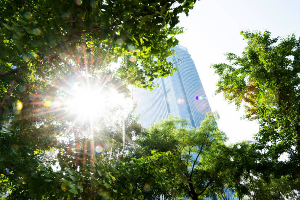 istock Modern office building and green leaves 948568378