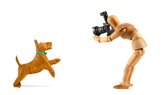 Wooden mannequin takes photo of a jumping dog - dog photographer