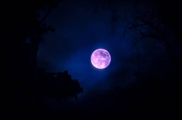 istock Full moon and tree silhouette. Photo from Sotkamo, Finland. 948575662