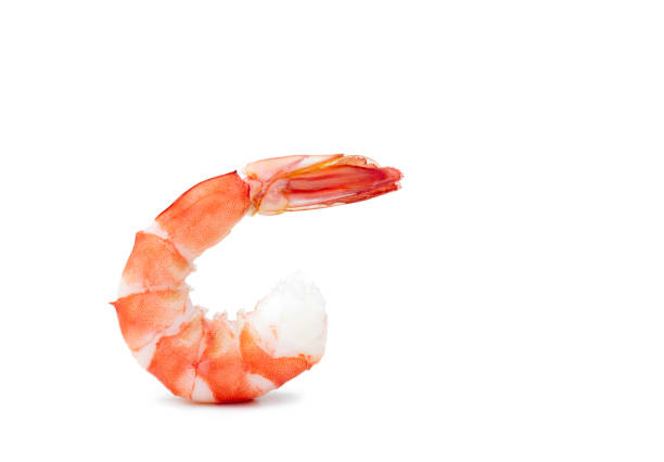 istock shrimp see food tiger isolated on white background. 948576030
