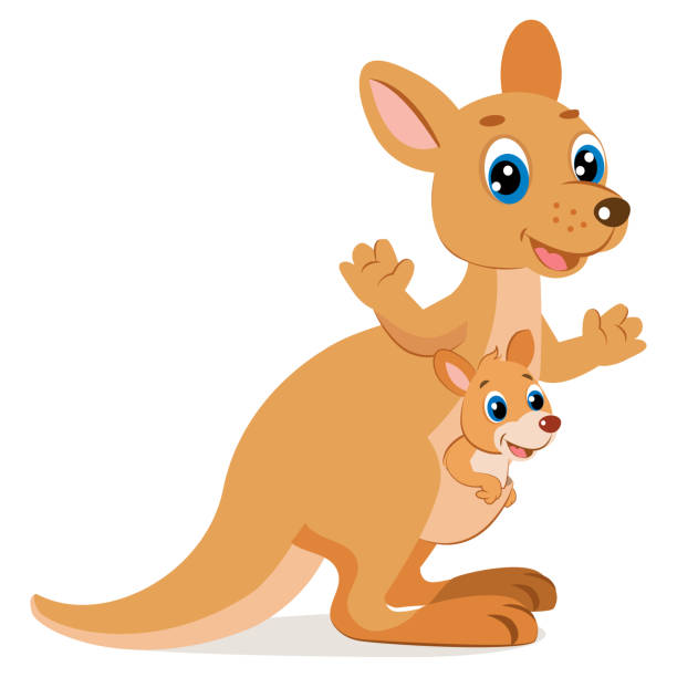 Kangaroo Encounter Cartoon Animals Vector Mother Kangaroo With Her Little  Cute Baby Kangaroo Stock Illustration - Download Image Now - iStock