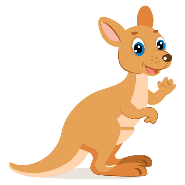 ilustrações, clipart, desenhos animados e ícones de encontro de canguru. wallaby engraçado bonito vector illustration. vetor de animais australian dos desenhos animados. - kangaroo animal humor fun