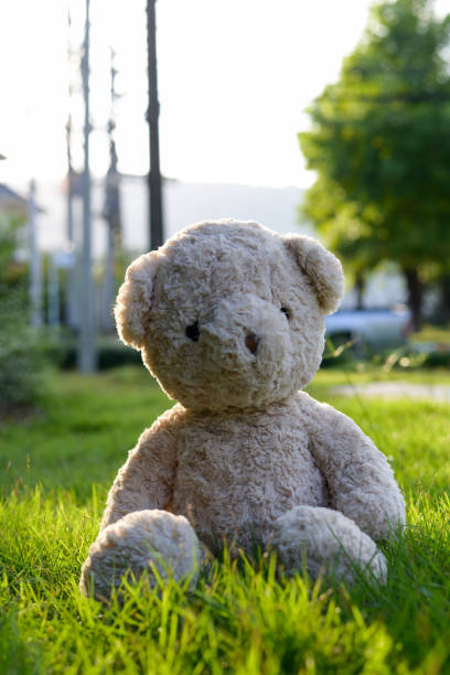 istock Teddy bear in the garden 948590586