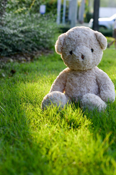 istock Teddy bear in the garden 948590590