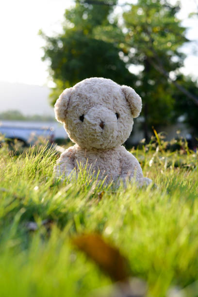 istock Teddy bear in the garden 948590620
