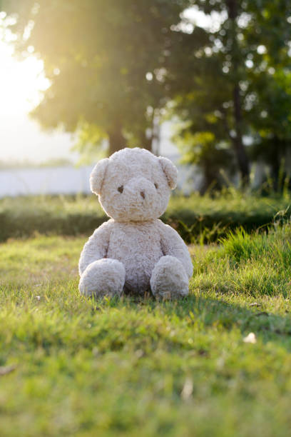 istock Teddy bear in the garden 948590622