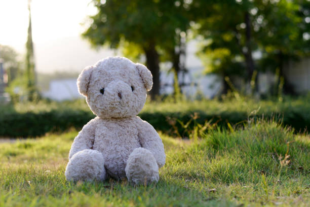 istock Teddy bear in the garden 948590642