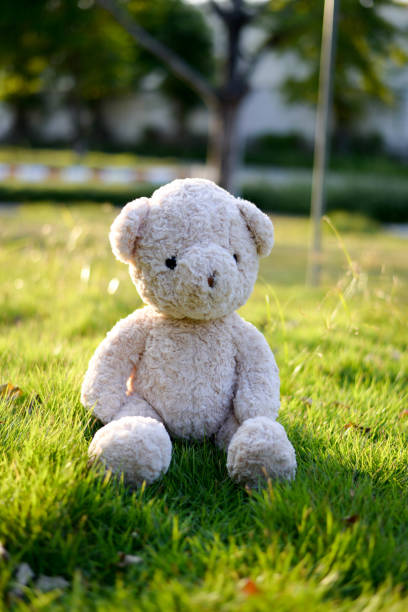 istock Teddy bear in the garden 948590664