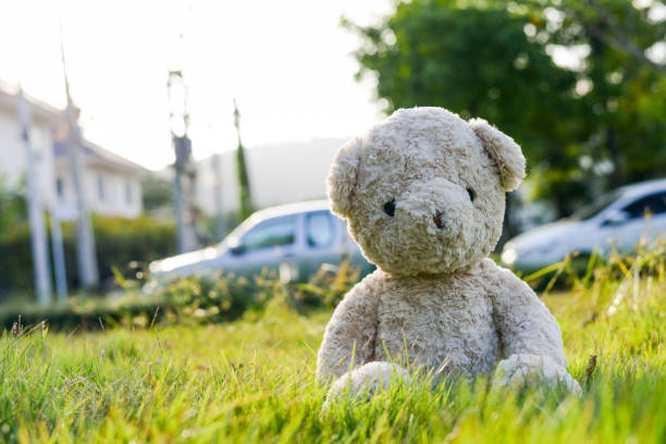 istock Teddy bear in the garden 948590790