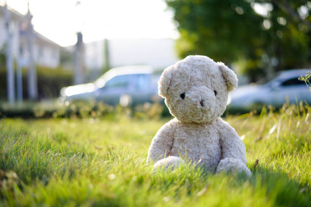 istock Teddy bear in the garden 948590808