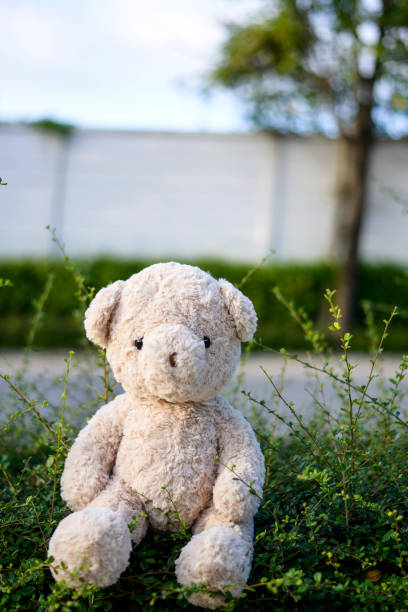 istock Teddy bear in the garden 948590916