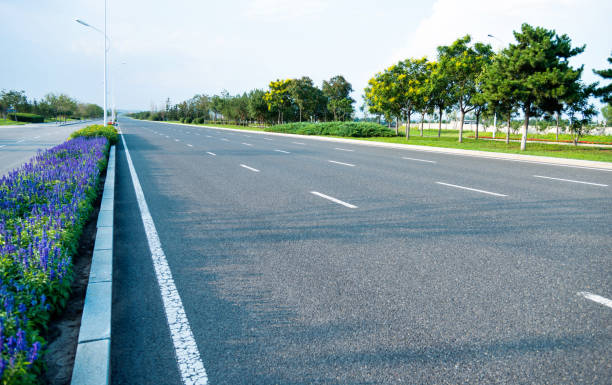 istock Trees and flower on the roadside 948594036