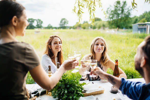 istock Friends Toasting One Another At Outdoor Lunch Together 948594216
