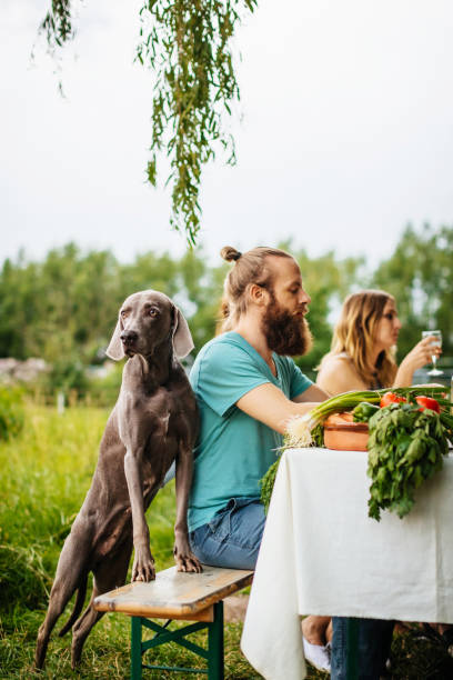 istock Friends And Their Dog Having Lunch Outdors 948594554