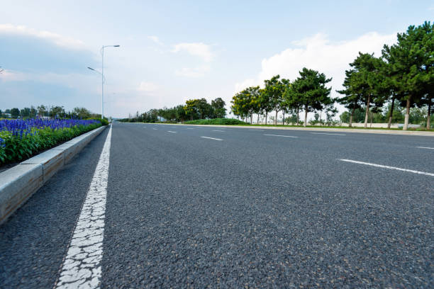 istock Trees and flower on the roadside 948596622