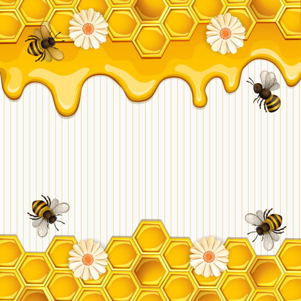 ilustraciones, imágenes clip art, dibujos animados e iconos de stock de hermoso fondo con las abejas, miel, flores y nido de abeja - honey hexagon honeycomb spring