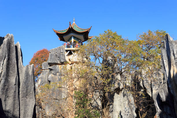 istock Stone forest near Kunming, Yunnan China 948602582