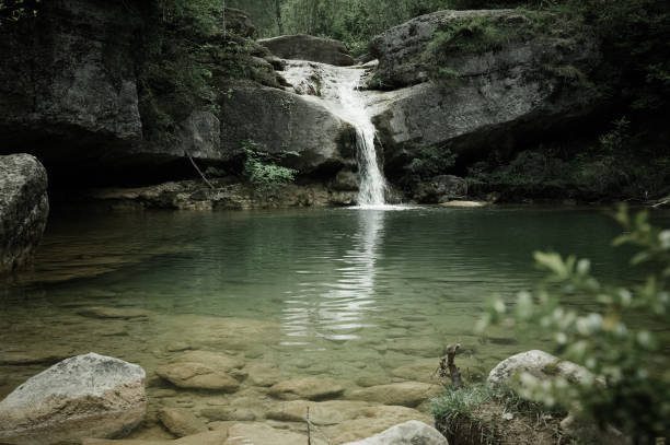 водопад в каталонии окружен красивыми лесами - groundwater стоковые фото и изображения