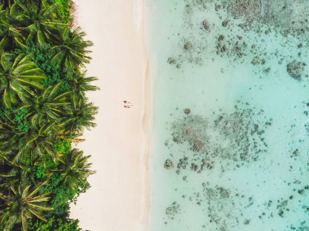 istock Couple on Beach in Maldives from Above 948616728