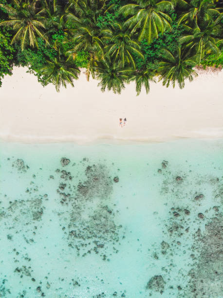istock Couple on Beach in Maldives from Above 948616730