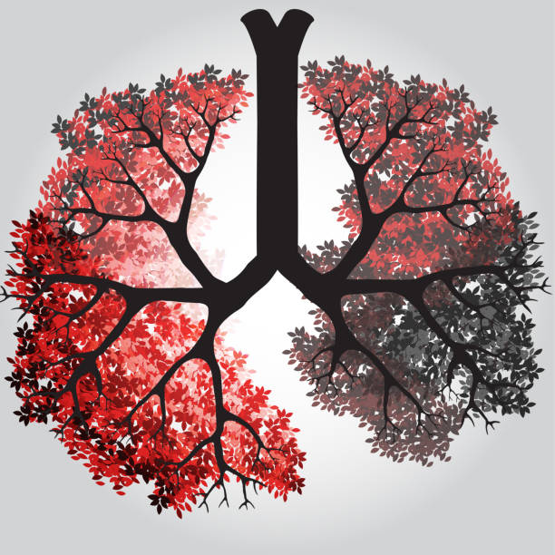 Tree Branches Like Lungs - Vector Illustration vector art illustration