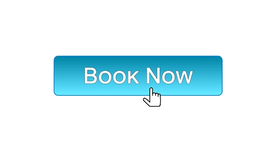 Book now web interface button clicked with mouse cursor, blue color, reservation, stock footage
