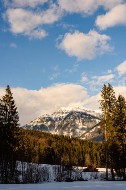 Scenic view of coastal mountains in winter, moody light, B.C. Coast Ranges