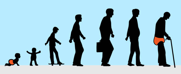 ilustraciones, imágenes clip art, dibujos animados e iconos de stock de el hombre de joven a vieja silueta - multi generation family isolated people silhouette