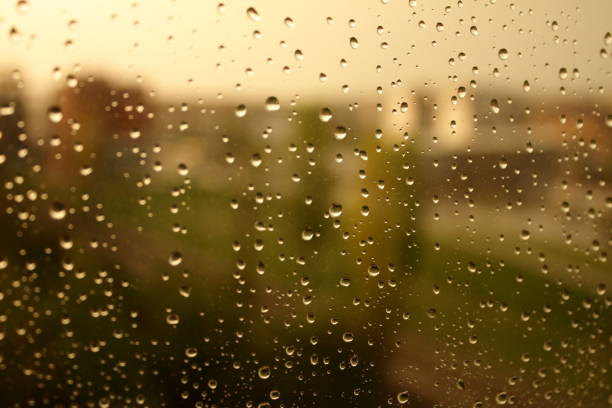 istock Raindrops on glass with green plants in background 948631366