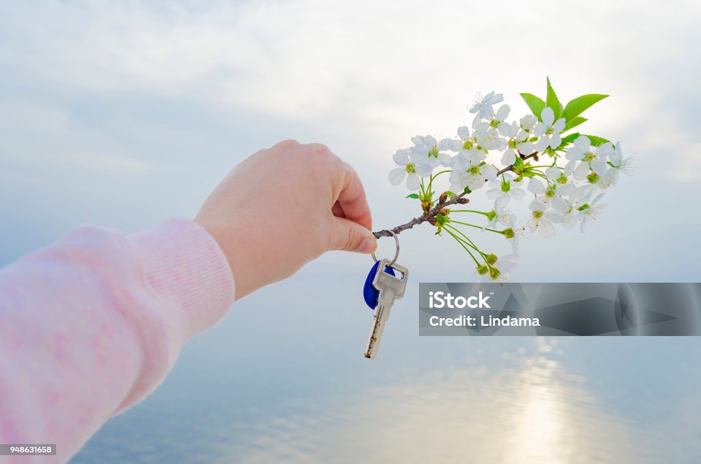 The Key To The New House And The Branch Of Cherry Blossoms In Hand Stock  Photo - Download Image Now - iStock