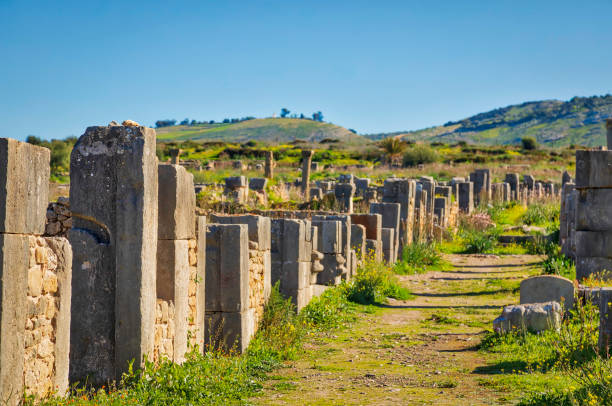 istock Ruins of Volubilis (HDRi) 948635682