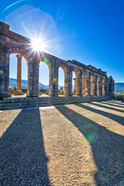 istock Ruins of Volubilis (HDRi) 948635836