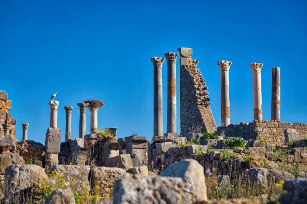 istock Ruins of Volubilis (HDRi) 948635884
